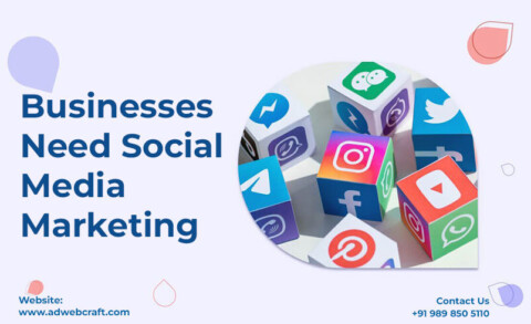 Need social media marketing