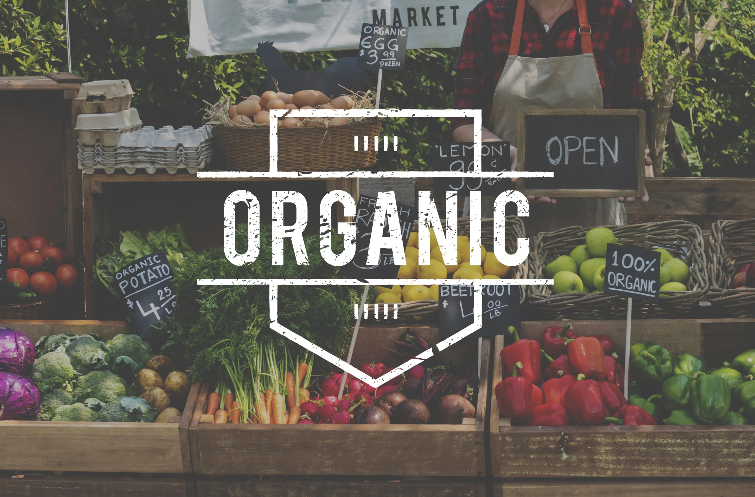Digital Marketing in Fitness with organic food